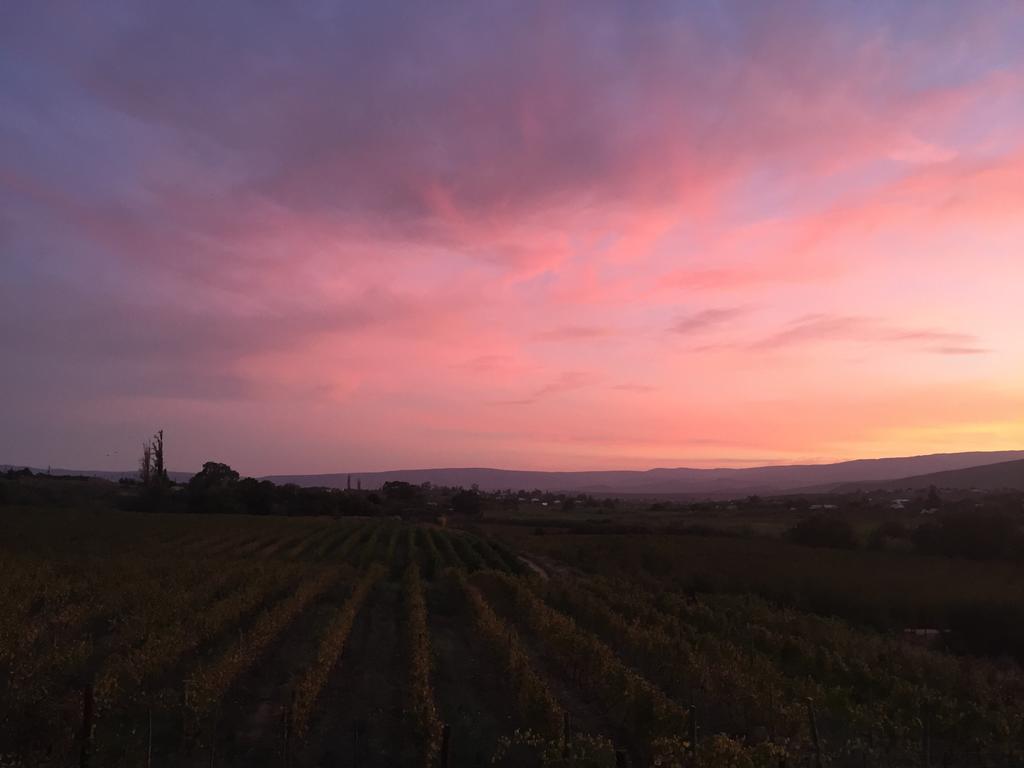 Calitzdorp Country House Экстерьер фото